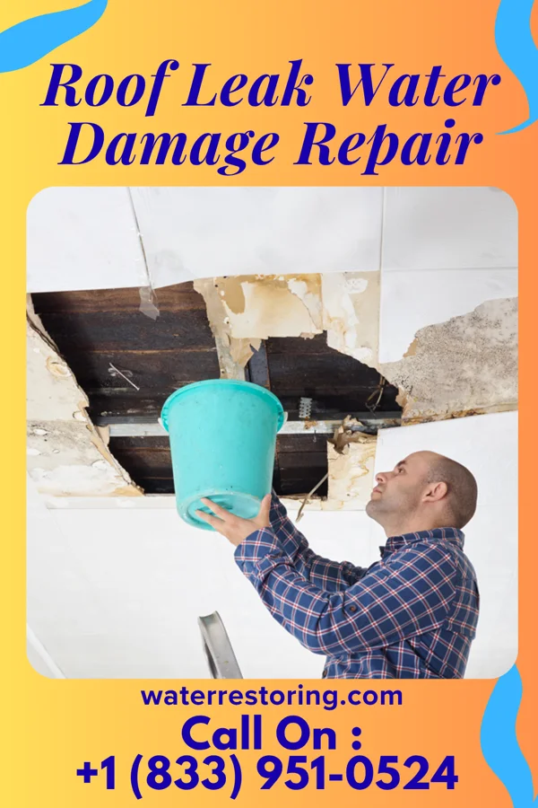 Roof Leak Water Damage Repair in Loyalton, CA
